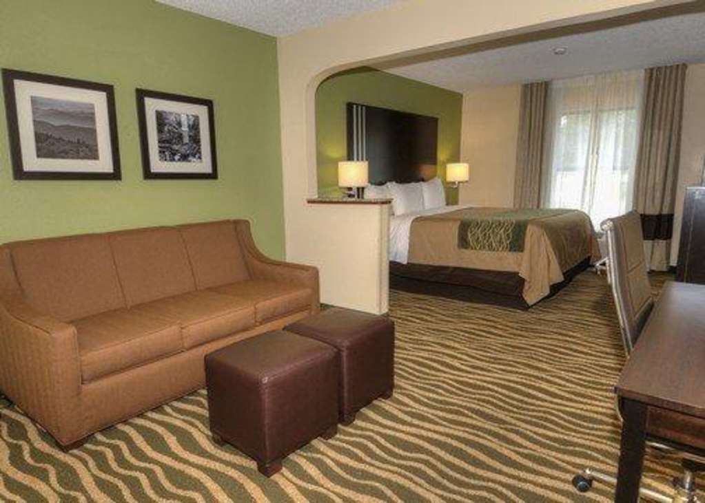 Mini-hôtel Comfort Near Downtown & Blue Ridge Pkwy 2*